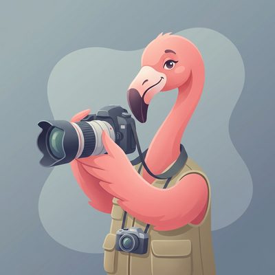 Flamingua mascot with camera — DELF A1 speaking practice